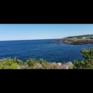 Meet your Posher, Vlada